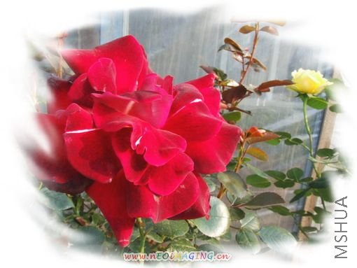 DSCF1534.jpg