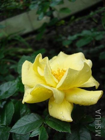 ����������������