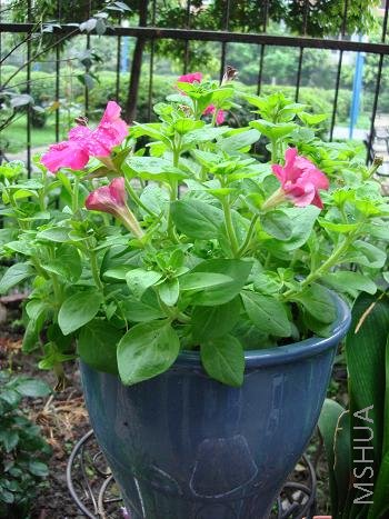 ȥ��ɵ�����������ɫ����û���˻�