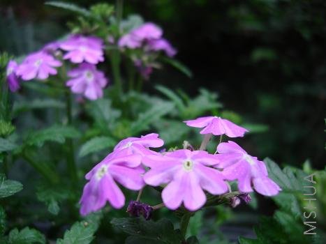 ����Ů���Ͼ�