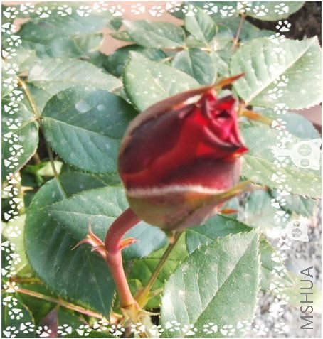DSCF1541.jpg