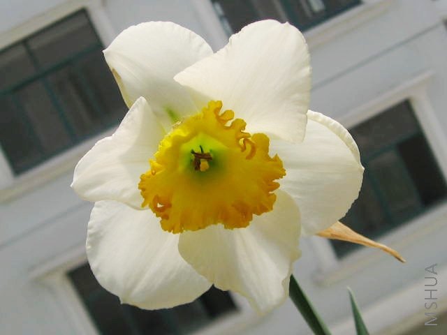 �����һ��Ʒ��Ҳ����