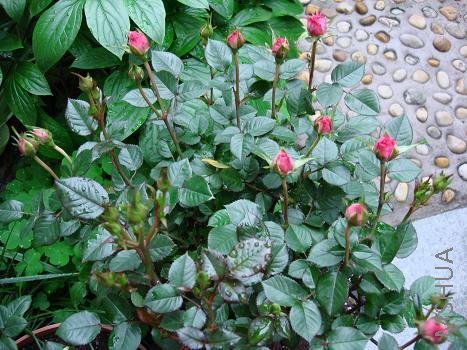 ����Ľ���ϵķ��꣬�ܾ����Լ������ɫҪ��һЩ