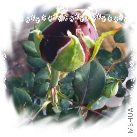 DSCF1540.jpg