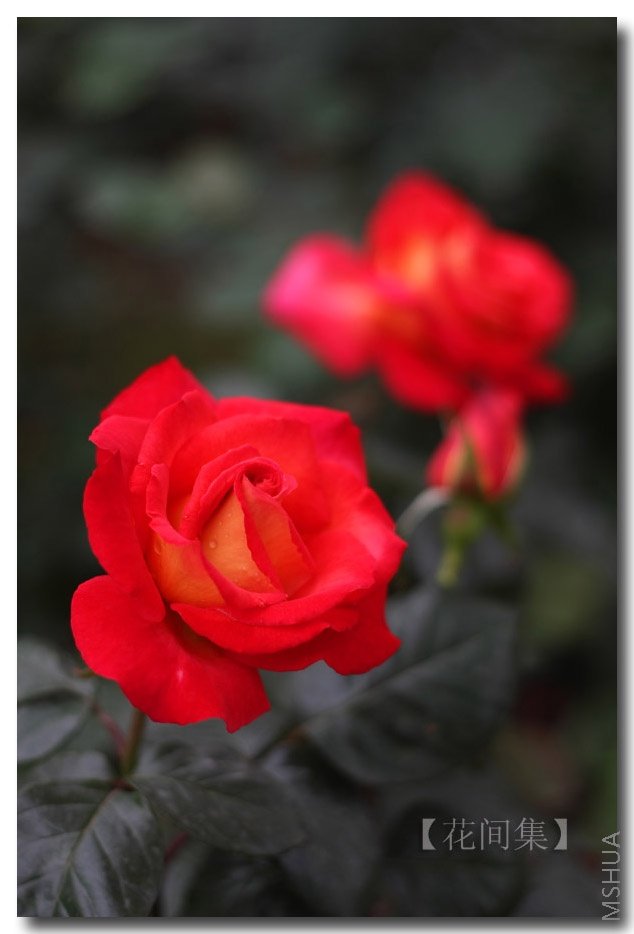 IMG_1214 ����.jpg