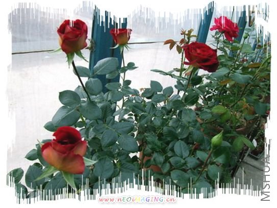 DSCF1339.jpg