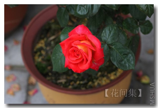 IMG_1262 ����.jpg