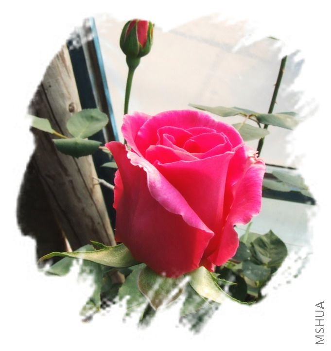 DSCF1543.jpg