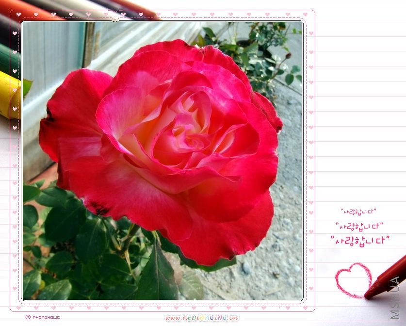 DSCF1532.jpg