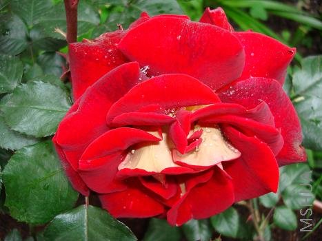 ��ķ����������֪˭����ȡ������һ������������