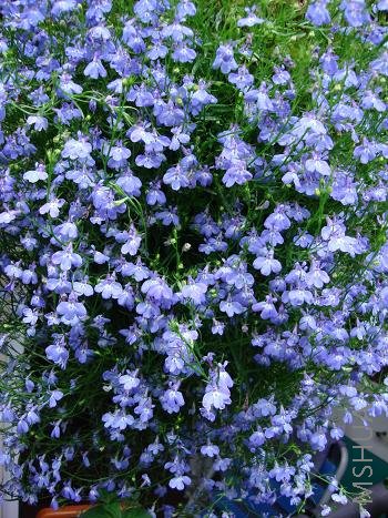 ʼ����ô����