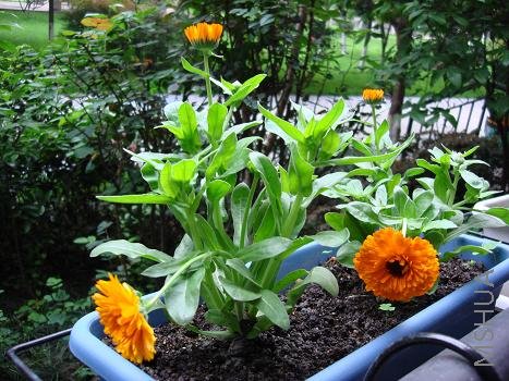 ���۵ĵ�յ��