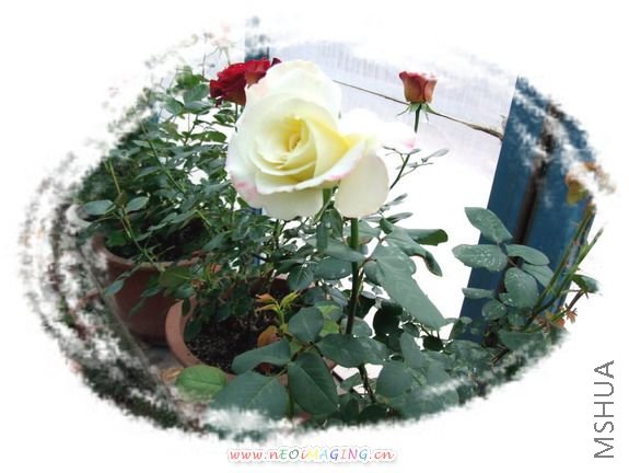 DSCF1341.jpg