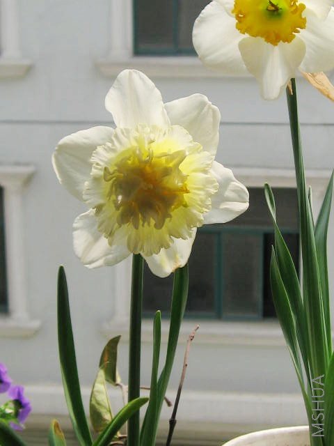 ���Ӿ��ˣ�������ɫ����