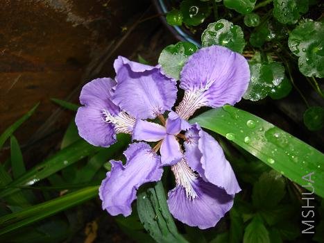 �β���ĵؿ���