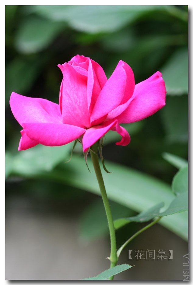 IMG_0118 ����.jpg