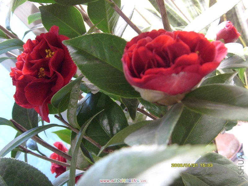 S73R0564-1.jpg