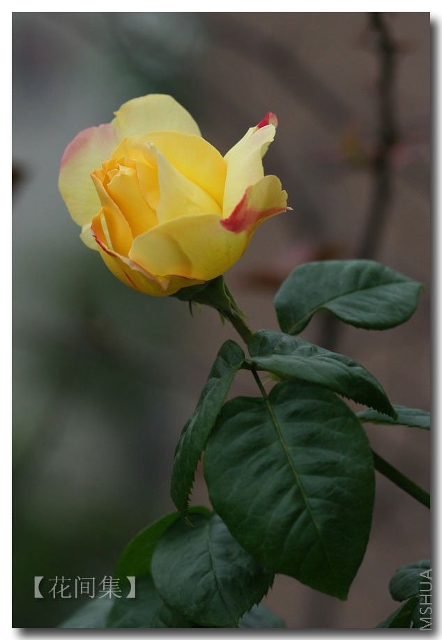 IMG_0023 ����.jpg