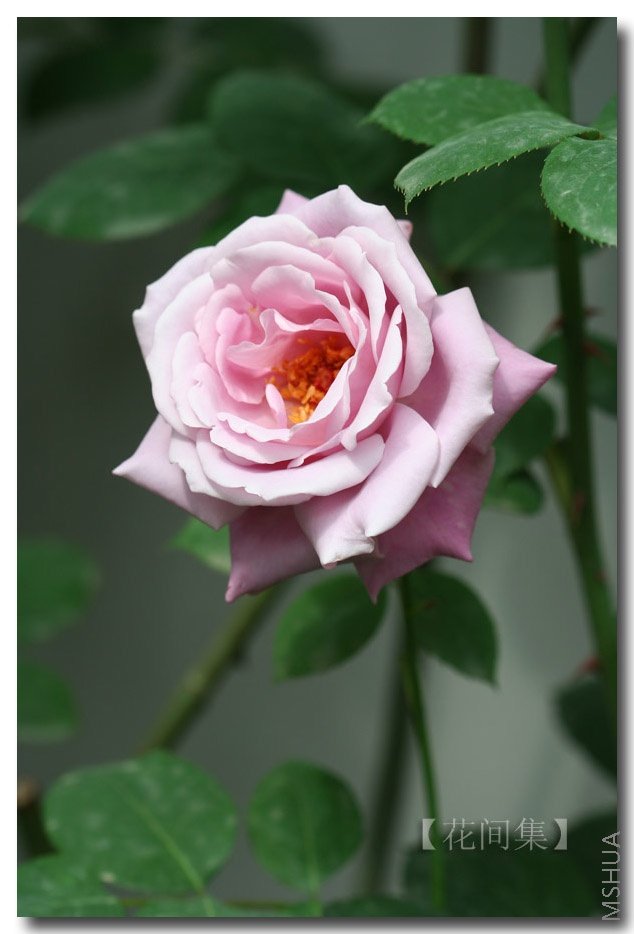 IMG_0125 ����.jpg