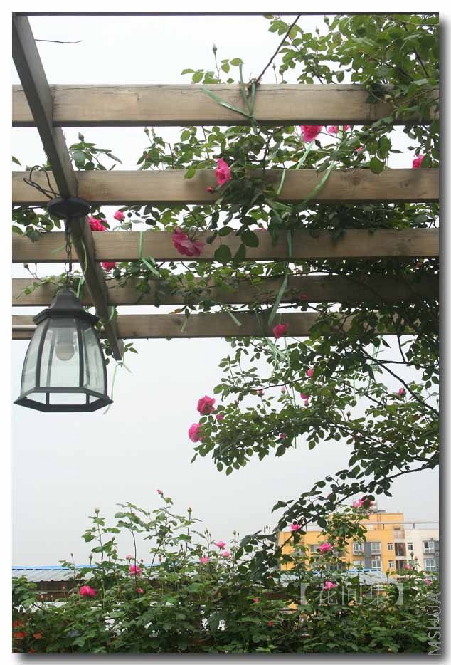 IMG_0087 ����.jpg