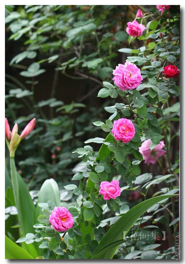 IMG_0143 ����.jpg