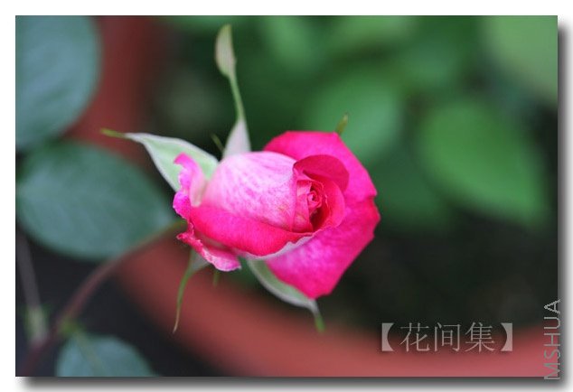 ����õ��