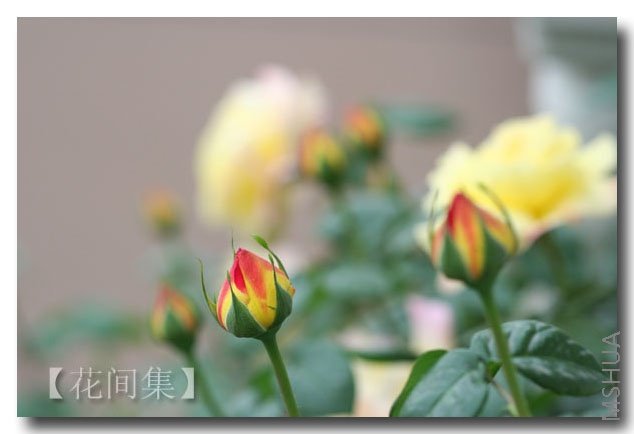 IMG_0021 ����.jpg