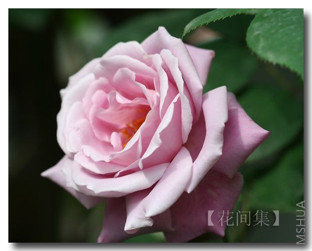 IMG_0126 ����.jpg