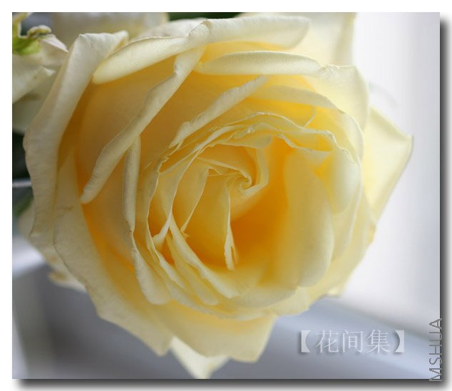 IMG_0334 ����.jpg