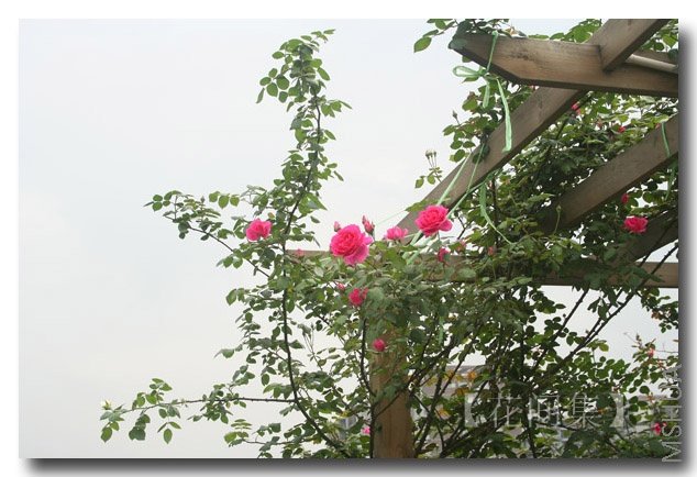 IMG_0089 ����.jpg