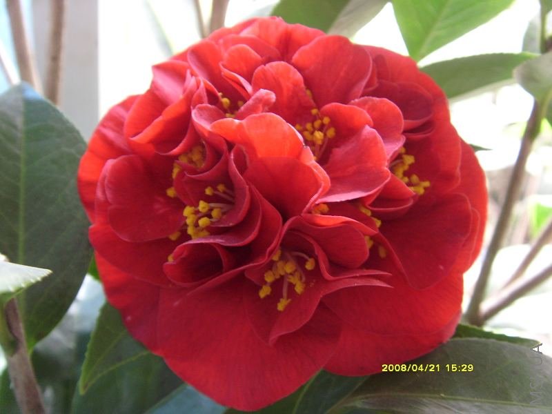 S73R0550-1.jpg