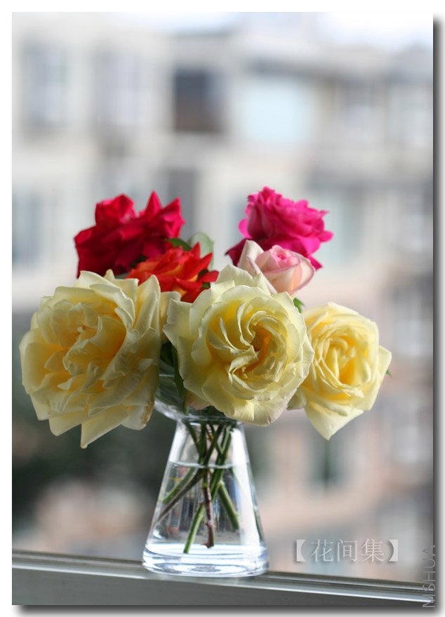 IMG_0373 ����.jpg