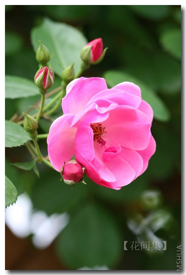 IMG_0317 ����.jpg