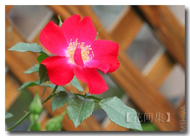 IMG_0182 ����.jpg