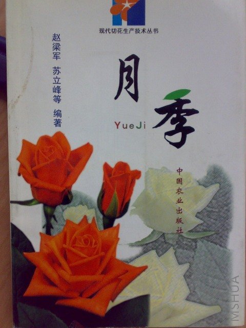 20080422267.jpg