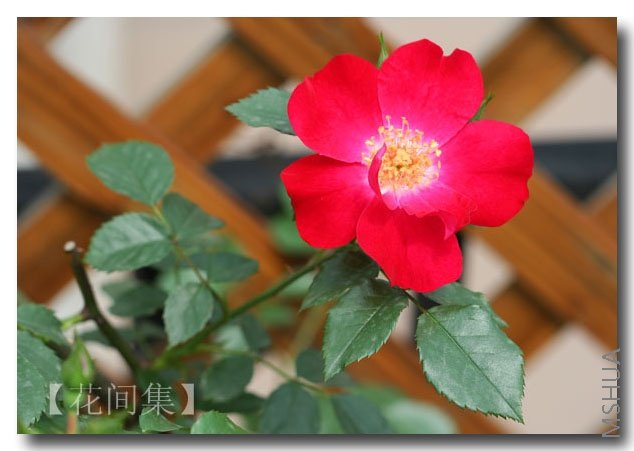 IMG_0193 ����.jpg