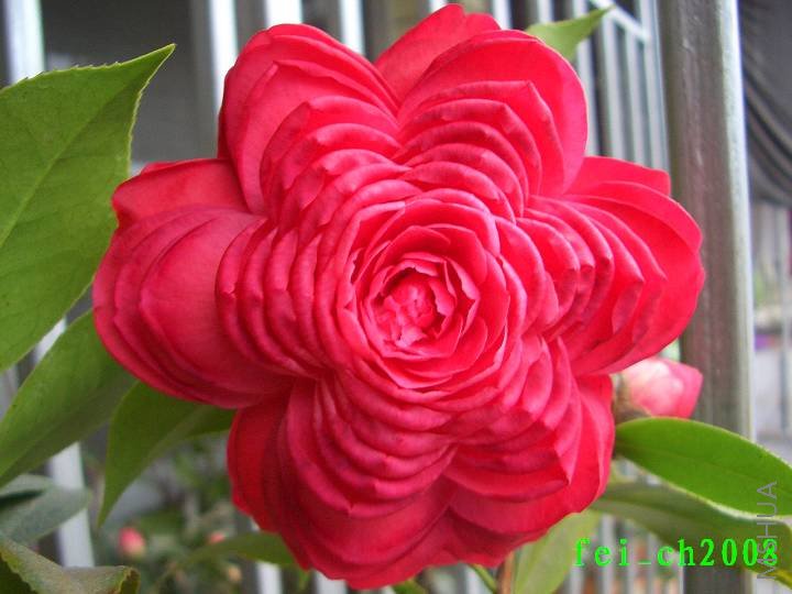 �൤0058.jpg