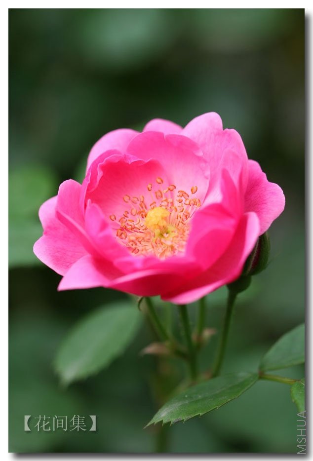 IMG_0135 ����.jpg