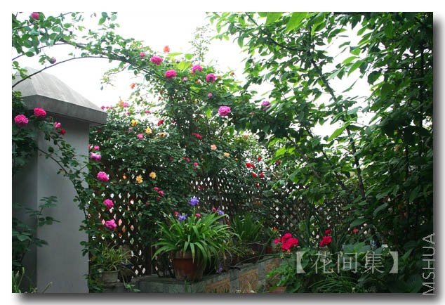 IMG_0389 ����.jpg