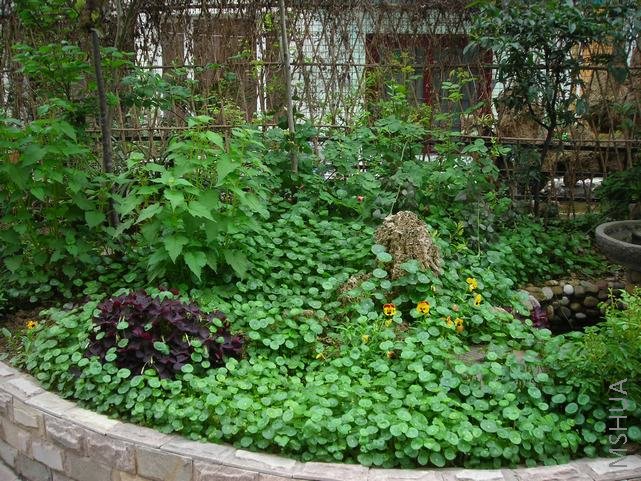 ͭǮ�ݳ����ˡ�����ֻ����ɱ����