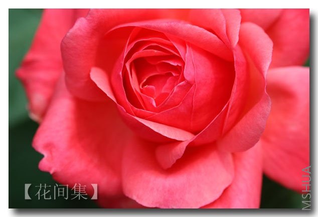 IMG_0262 ����.jpg