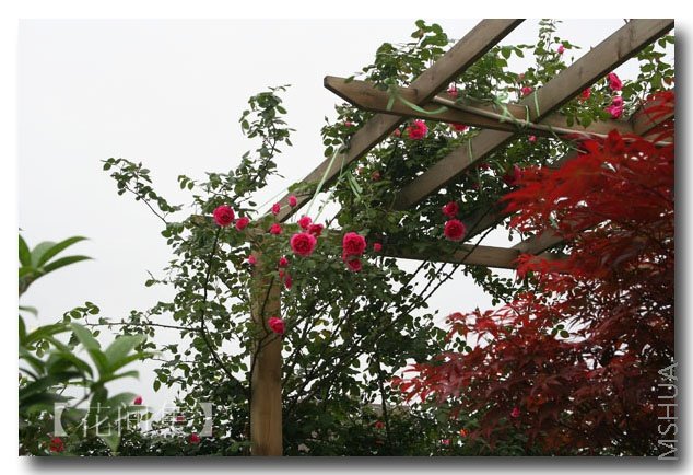 IMG_0393 ����.jpg