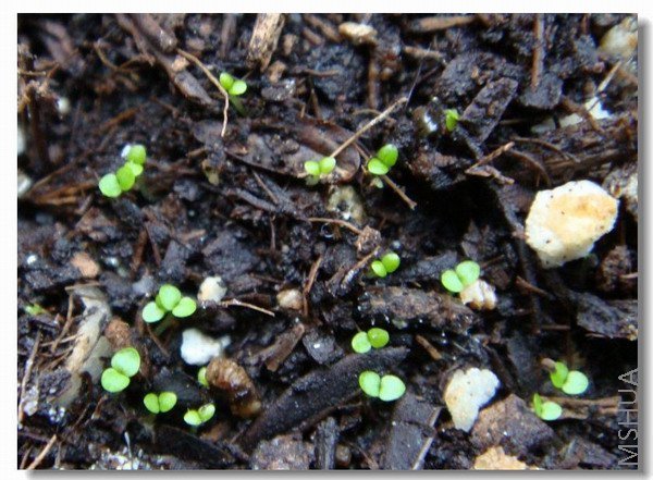 �ö࣬��40�����