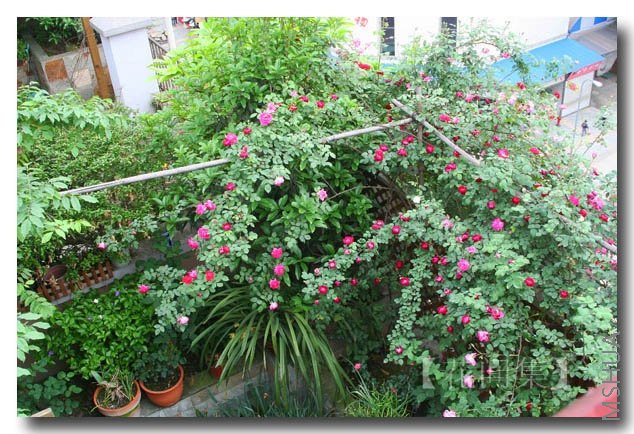 IMG_0391 ����.jpg