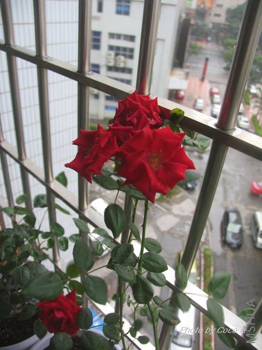 ����һ���˵�����������ôƯ��.jpg