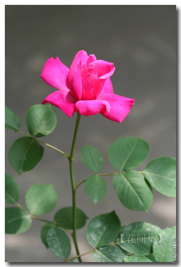 IMG_0324 ����.jpg