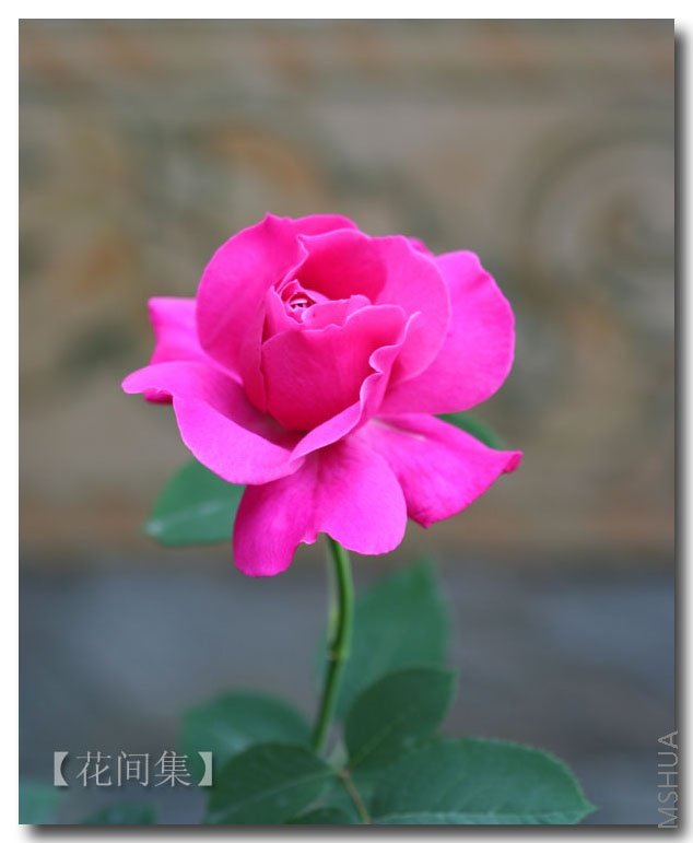 IMG_0379 ����.jpg