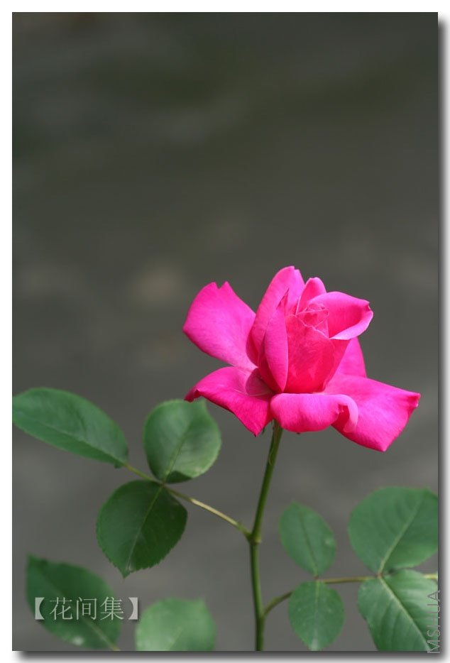 IMG_0326 ����.jpg