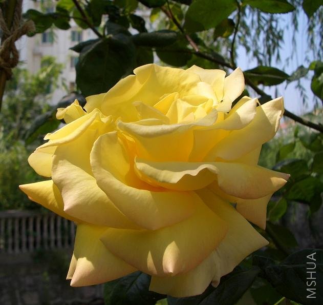 ���£��Һ�ϲ���ġ������ܴ�ʲôƷ�֣�