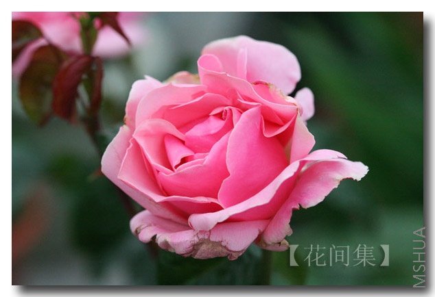 IMG_0538 ����.jpg